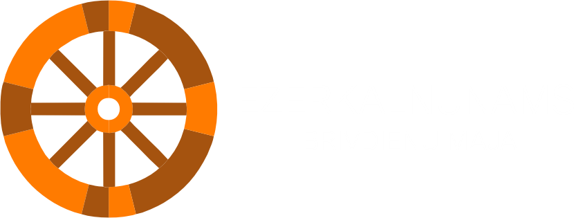 ezerkalnunams